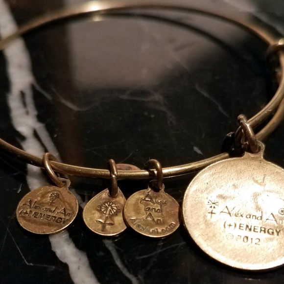 Alex And Ani OM Charm Bangle Bracelet Rafaelian Ru - Picture 7 of 8